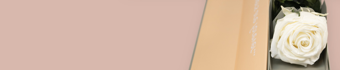 Lang haltbare Rosen Lang haltbare Rosen