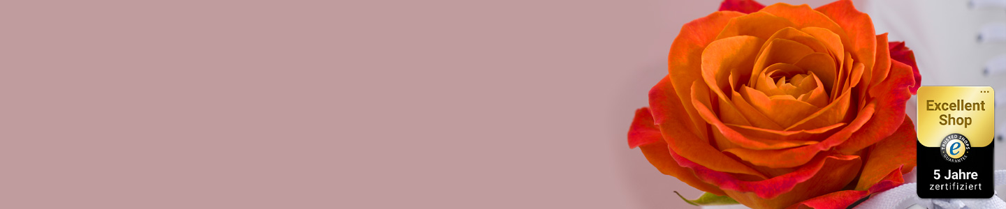 Orange Rosen Orange Rosen