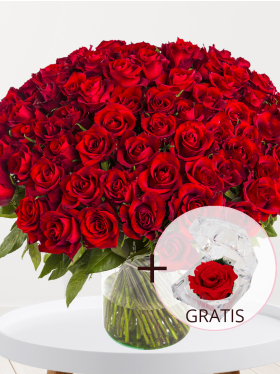 100 Rote Rosen - EverRed - Valentinstag