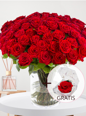 100 Rote Rosen - Red Naomi