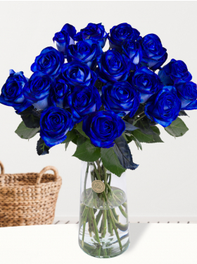 20 Blaue Rosen
