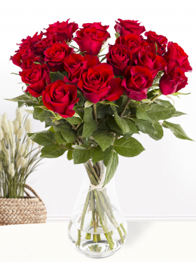 20 Rote Rosen