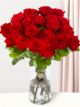 20 Rote Rosen - Red Naomi