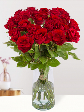 25 Rote Rosen - EverRed