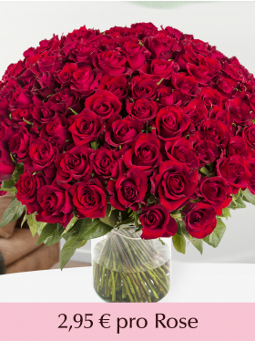 500 bis 1001 Rote Rosen - XL Rosen - EverRed