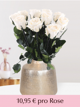 Cremefarbene long life Rosen