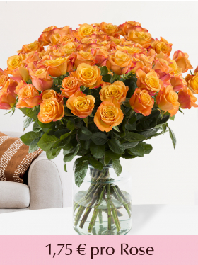 100 bis 499 Orange Rosen