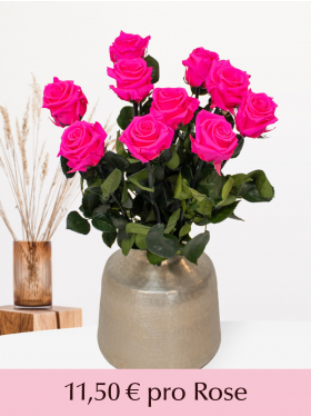 Pinke Long Life Rosen