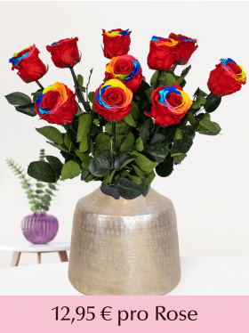5 bis 20 long life Regenbogen Rosen