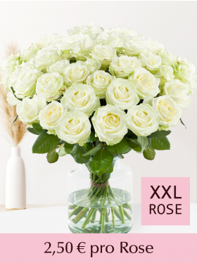 10 bis 99 Weiße Rosen