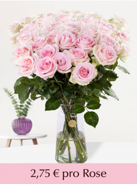 10 bis 99 Zart-Rosa Rosen