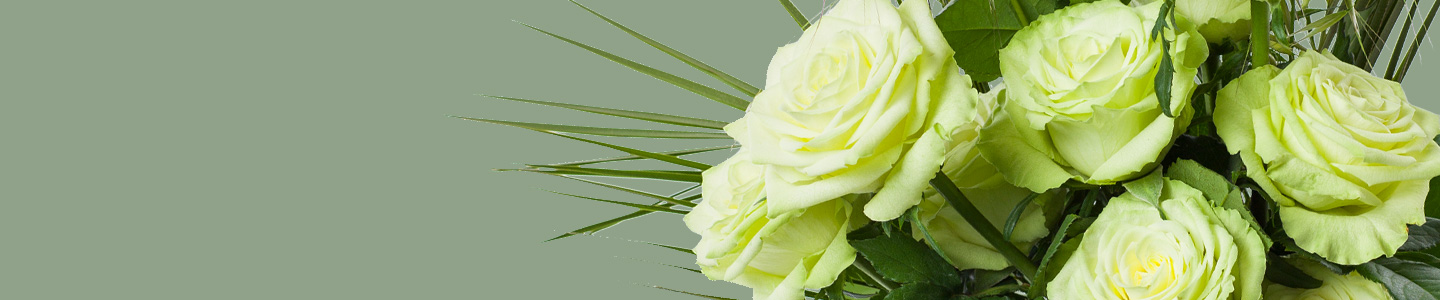 Rosensorte: Camouflage Rosensorte: Camouflage