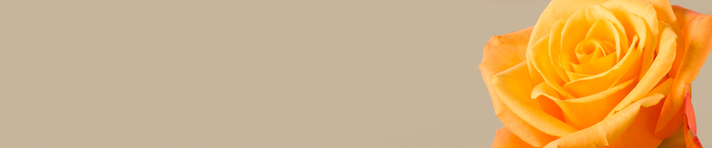 Rosensorte: Confidential Rosensorte: Confidential