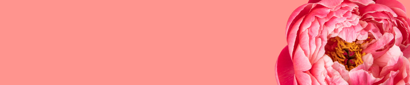 Rosensorte Coral Charm Rosensorte Coral Charm