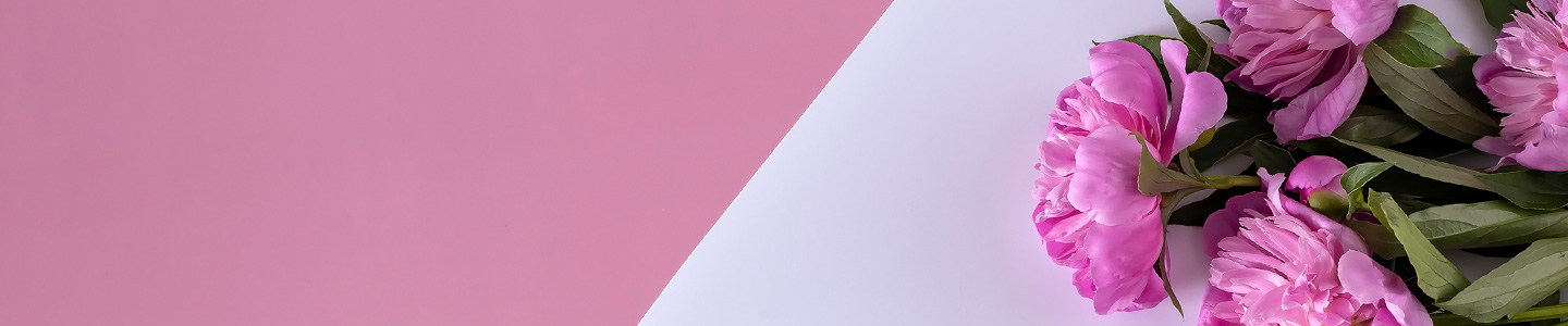 Rosensorte Dr. Fleming Rosensorte Dr. Fleming