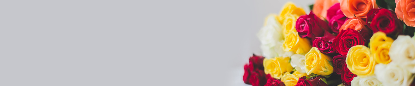 Geschäftlich große Anzahl Rosen bestellen Geschäftlich große Anzahl Rosen bestellen