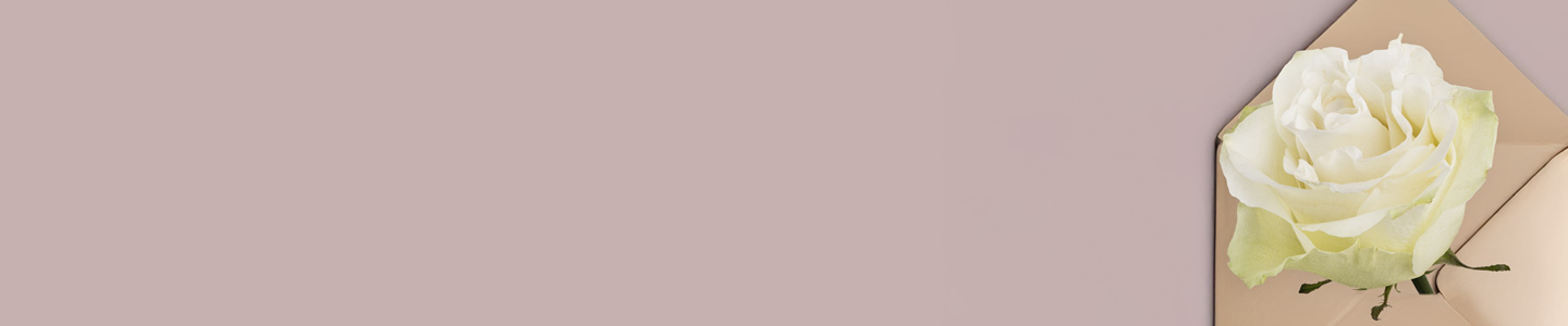 Rosensorte Moonstone Rosensorte Moonstone