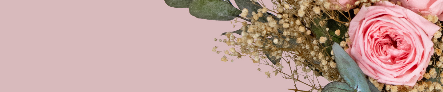 Rosenversand Delmenhorst Rosenversand Delmenhorst