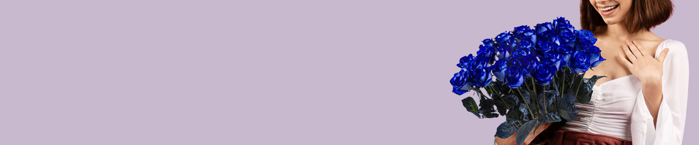 Rosenversand Duisburg