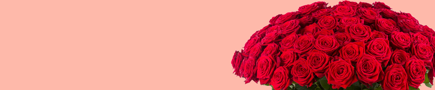 Rosenversand Esslingen