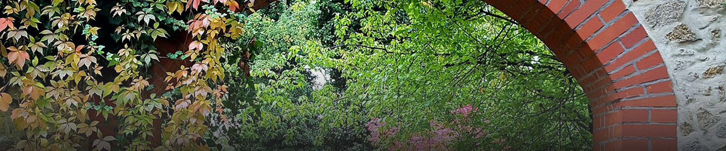 Rosenversand Görlitz