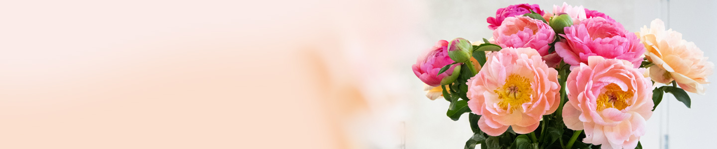 Rosenversand Kaiserslautern Rosenversand Kaiserslautern