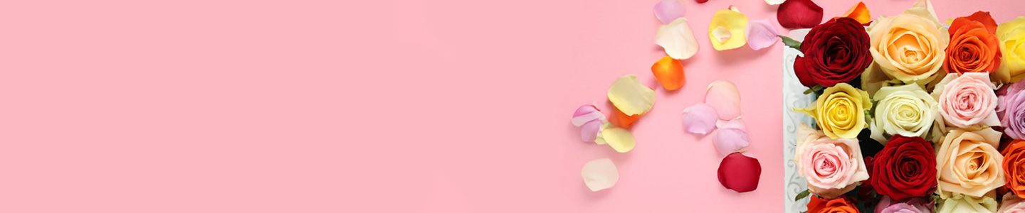 Rosenversand Ludwigshafen Rosenversand Ludwigshafen