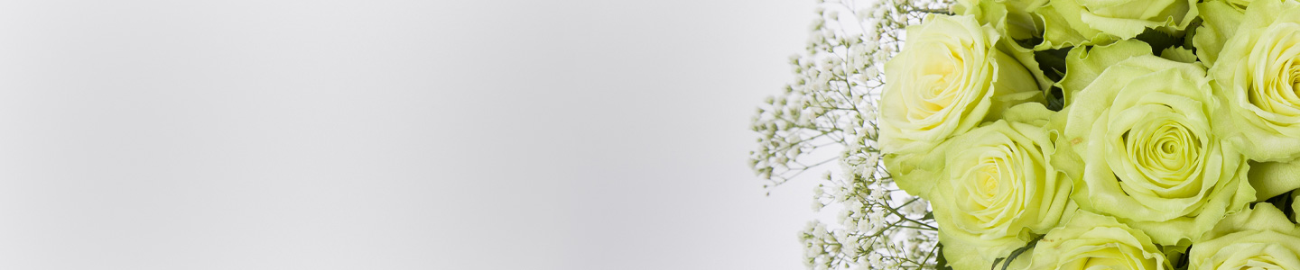 Rosenversand Lüneburg Rosenversand Lüneburg