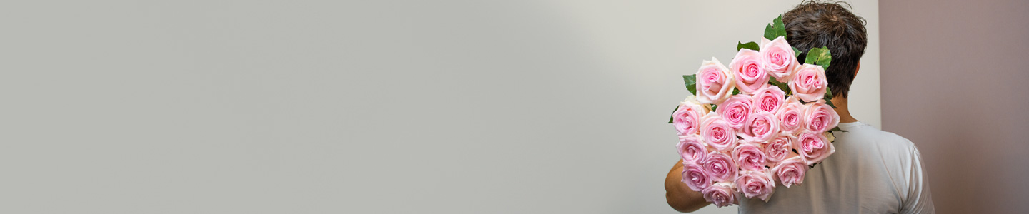 Rosenversand Mainz Rosenversand Mainz