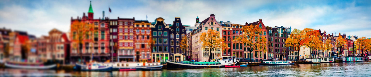 Rosen in die Niederlande verschicken Rosen in die Niederlande verschicken