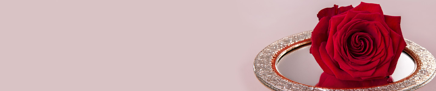 Rosenversand Osnabrück Rosenversand Osnabrück