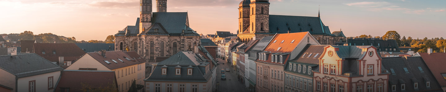 Rosenversand Plauen