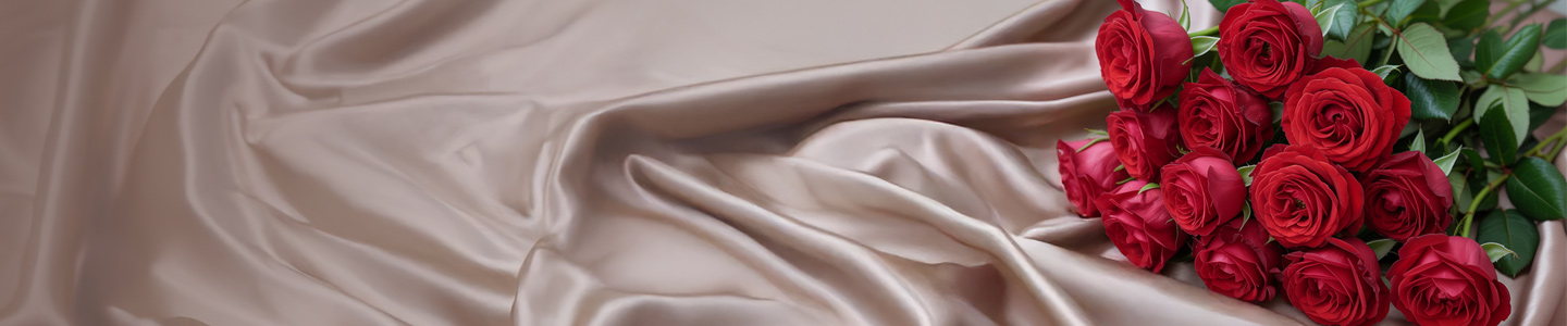 Rosenversand Rostock Rosenversand Rostock