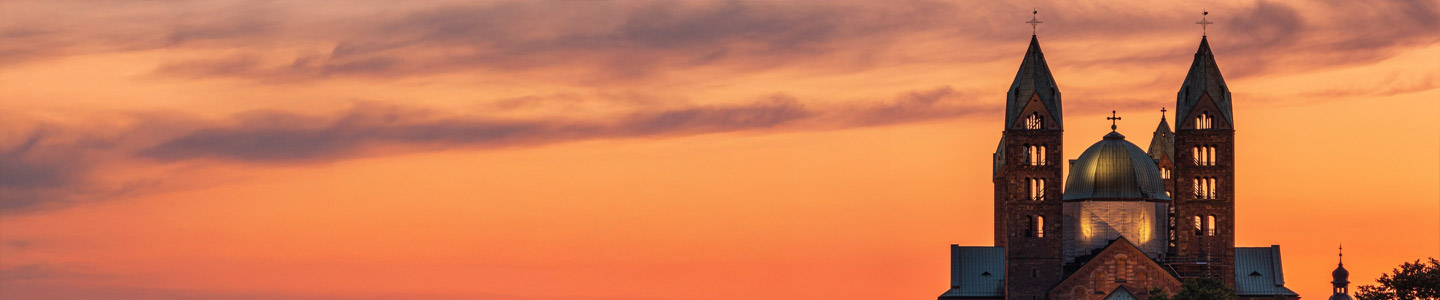 Rosenversand Speyer Rosenversand Speyer