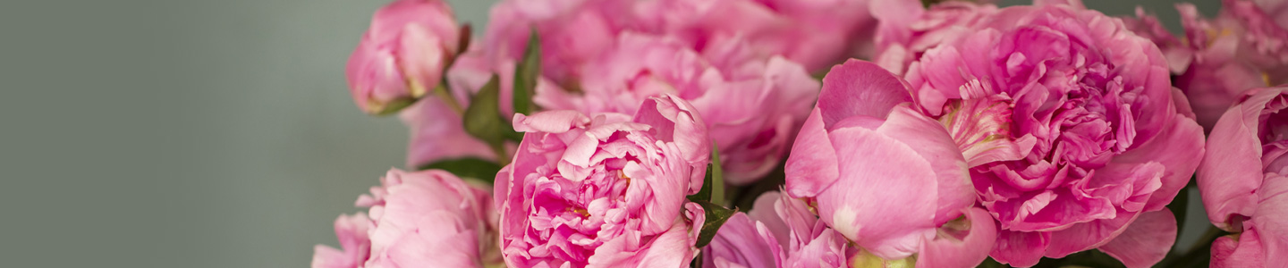 Saisonblumenstrauß Saisonblumenstrauß