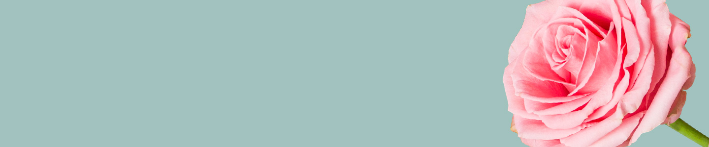 Sophia Loren Rosen bestellen Sophia Loren Rosen bestellen