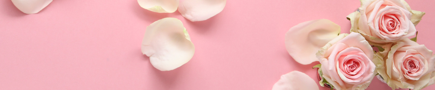 Rosensorte: Sweet Revival Rosensorte: Sweet Revival