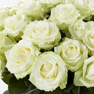 W&auml;hle deine eigene Anzahl von Rosen