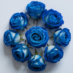 Blaue Rosen bestellen
