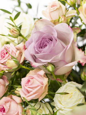 Blumen verschenken und bekommen macht gl&uuml;cklich