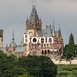 Rosen verschicken nach Bonn