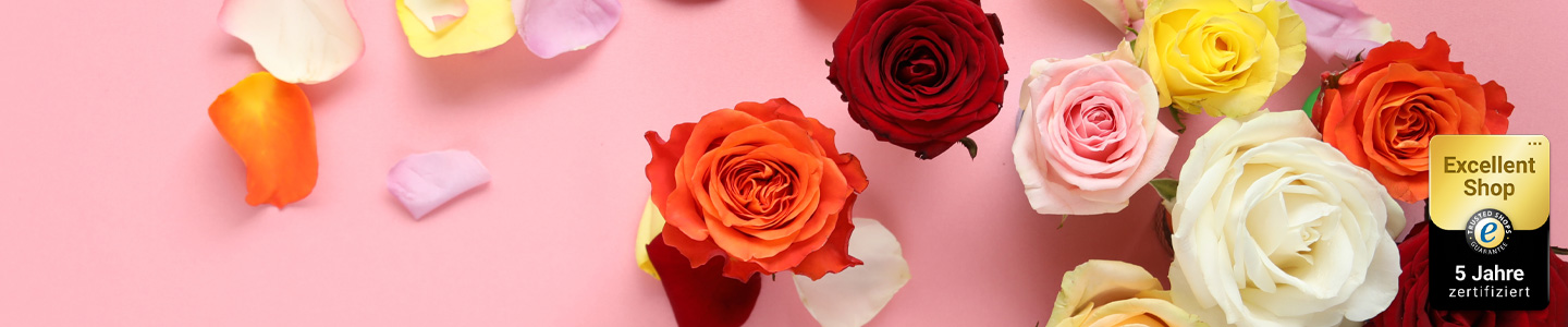 Rosen bestellen Rosen online bestellen