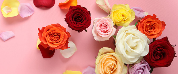 Bunte Blumensträuße Bunte Blumensträuße