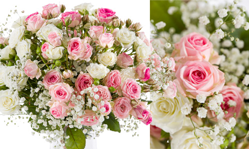 Rosa Rosen für das Geschäft bestellen Rosa Rosen für das Geschäft bestellen