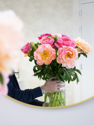 Coral Charm Pfingstrose Coral Charm Pfingstrose