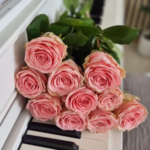 Rosa Rosen - Sophia Loren