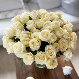 Weiße Rosen kaufen Weiße Rosen kaufen