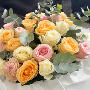 Avalanche Rosenmix Avalanche Rosenmix