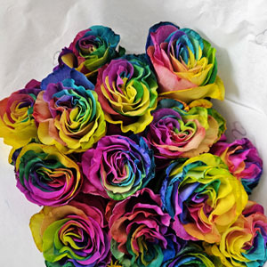 Regenbogen Rosen bestellen