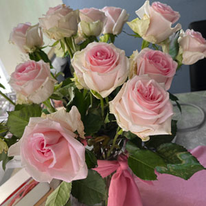 Rosa Rosen bestellen
